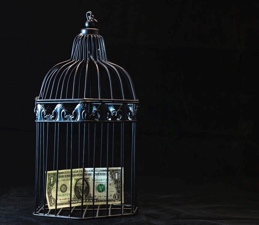 dollar inside a cage